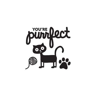 WeR Memory Keepers - Friends Furever - Clear Stamps - You're Purrfect  (sold in 3's)