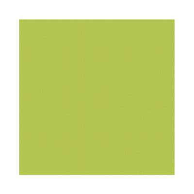 WeR Memory Keepers - Baby Mine - 12x12 Textured Cardstock - Green  (pack of 5)