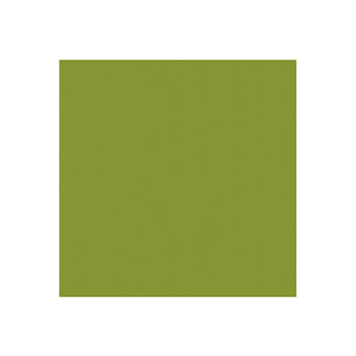 WeR Memory Keepers - Hall Pass - Textured Cardstock - Green  (pack of 12)
