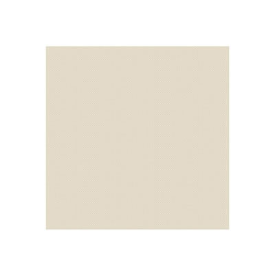 WeR Memory Keepers - Hall Pass - Textured Cardstock - Cream  (pack of 12)