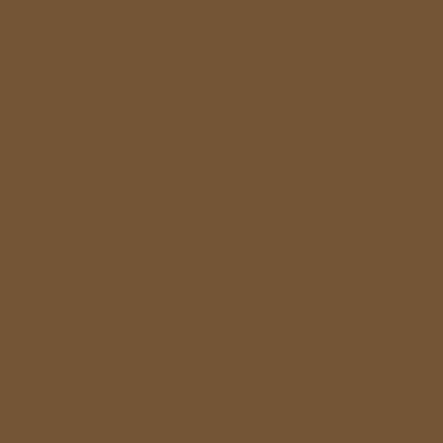 WeR Memory Keepers - Washi Adhesive Sheet - Hazelnut  (pack of 6)