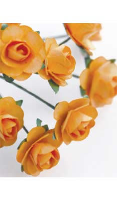 Zva Creative - Bulk Flowers  Mini Rose 144 stems 19mm  Peach  (sold individually)