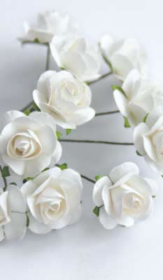 Zva Creative - Bulk Flowers  Mini Rose 144 stems 19mm  White    12mm   (sold individually)