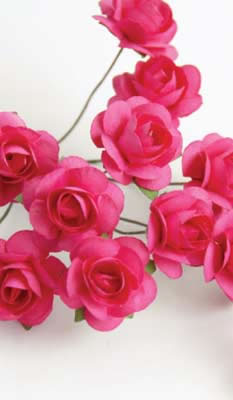 Zva Creative - Bulk Flowers  Mini Rose 144 stems 19mm  Rosy    12mm   (sold individually)