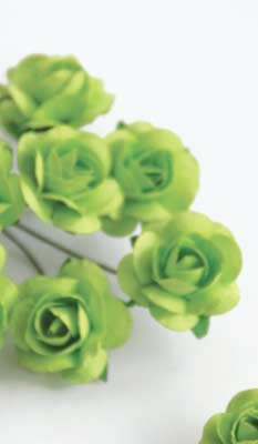Zva Creative - Bulk Flowers  Mini Rose 144 stems 19mm  Lime    12mm   (sold individually)