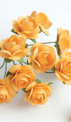 Zva Creative - Bulk Flowers  Mini Rose 144 stems 19mm  Peach    12mm   (sold individually)
