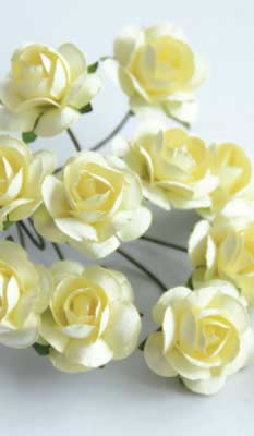 Zva Creative - Bulk Flowers  Mini Rose 144 stems 19mm  Cream    12mm   (sold individually)