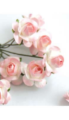 Zva Creative - Bulk Flowers  Mini Rose 144 stems 19mm  Pink Transition   (sold individually)