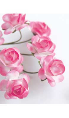 Zva Creative - Bulk Flowers  Mini Rose 144 stems 19mm  Rosy Transition   (sold individually)