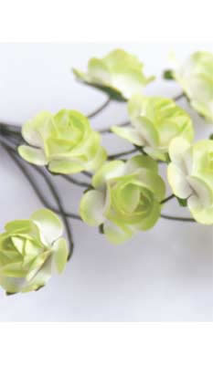 Zva Creative - Bulk Flowers  Mini Rose 144 stems 19mm  Lime Transition   (sold individually)