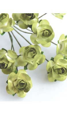 Zva Creative - Bulk Flowers  Mini Rose 144 stems 19mm  Olive Transition   (sold individually)