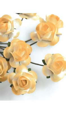 Zva Creative - Bulk Flowers  Mini Rose 144 stems 19mm  Peach Transition   (sold individually)