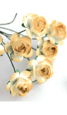 Zva Creative - Bulk Flowers  Mini Rose 144 stems 19mm  Ginger Transition   (sold individually)