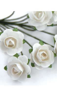 Zva Creative - Bulk Flowers  Mini Rose 144 stems 23mm  White  (sold individually)