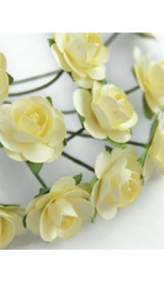Zva Creative - Bulk Flowers  Mini Rose 144 stems 23mm  Cream  (sold individually)