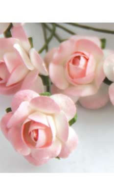 Zva Creative - Bulk Flowers  Sweet Rose 72 stems 35mm  Pink  (sold individually)