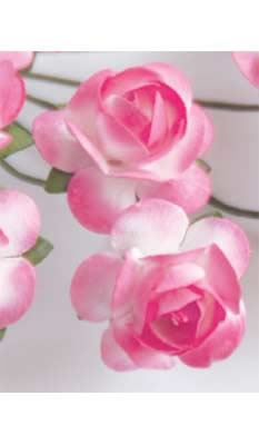 Zva Creative - Bulk Flowers  Sweet Rose 72 stems 35mm  Rosy  (sold individually)