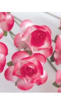 Zva Creative - Bulk Flowers  Sweet Rose 72 stems 35mm  Classic Red   (sold individually)