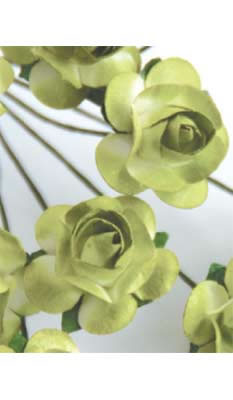 Zva Creative - Bulk Flowers  Sweet Rose 72 stems 35mm  Olive  (sold individually)