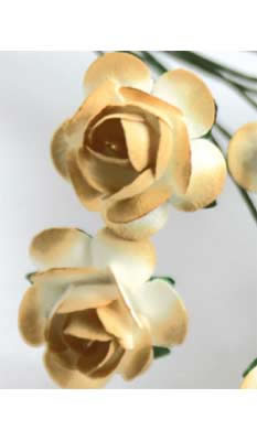 Zva Creative - Bulk Flowers  Sweet Rose 72 stems 35mm  Ginger  (sold individually)