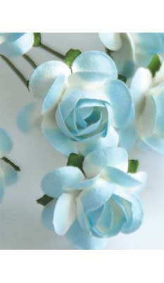 Zva Creative - Bulk Flowers  Sweet Rose 72 stems 35mm  Soft Blue   (sold individually)