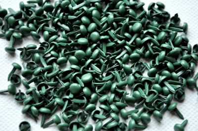 Aussie Scrap Source - 4mm Painted Brads - Pine  (pack of 500)