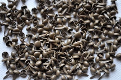 Aussie Scrap Source - 4mm Painted Brads - Taupe  (pack of 500)