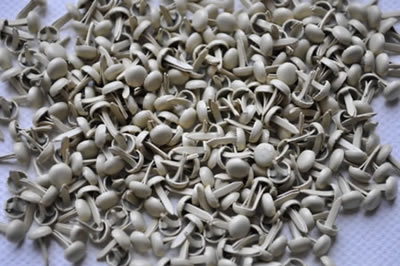Aussie Scrap Source - 4mm Painted Brads - Vanilla  (pack of 500)