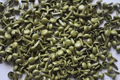 Aussie Scrap Source - 4mm Painted Brads - Leaf  (pack of 500)