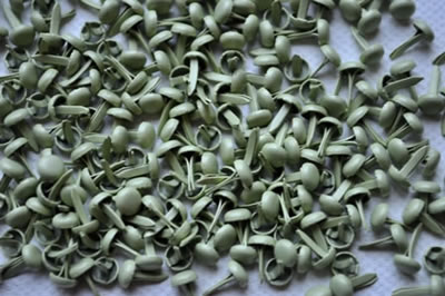 Aussie Scrap Source - 4mm Painted Brads - Mint  (pack of 500)