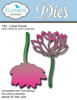 click to see more