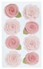 click to see more