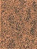 click to see more
