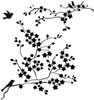click to see more