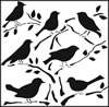 click to see more