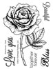 click to see more