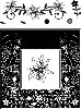 click to see more