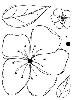 click to see more
