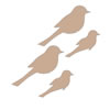 click to see more