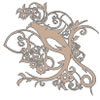 click to see more