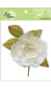 click to see more