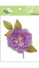 click to see more