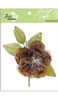 click to see more