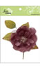 click to see more