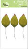 click to see more