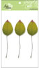 click to see more