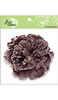 click to see more