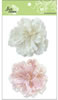 click to see more