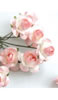 click to see more
