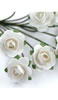 click to see more